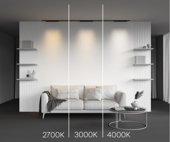 Магнитный трековый светильник Maytoni Technical Points TR193-1-20W2.7K-M-B