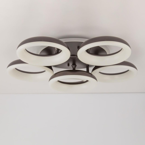 Потолочный светильник Citilux Паркер Смарт CL225A165E