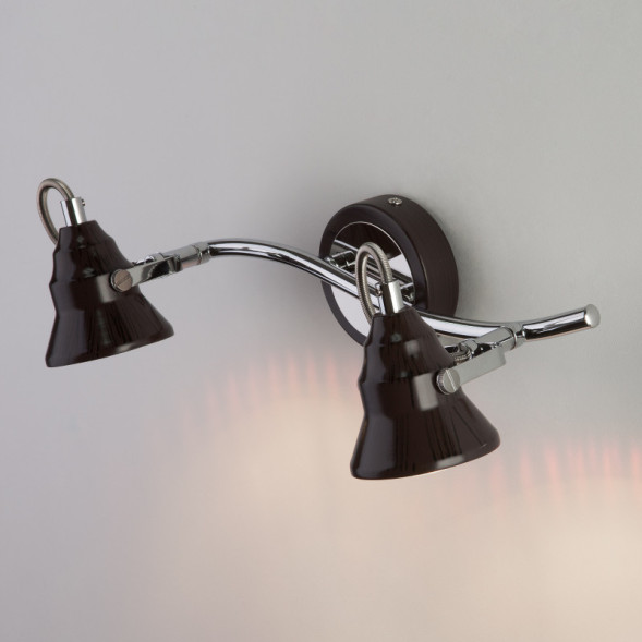 Спот Eurosvet MAGNUM 20062/2 хром/венге