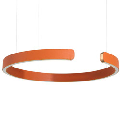Подвесной светильник LOFT IT RING 10025/400 Orange