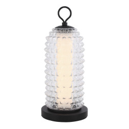 Настольная лампа ST-Luce SL6144.404.01 SAGUARO