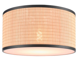 Потолочный светильник VELANTE 568-717-01