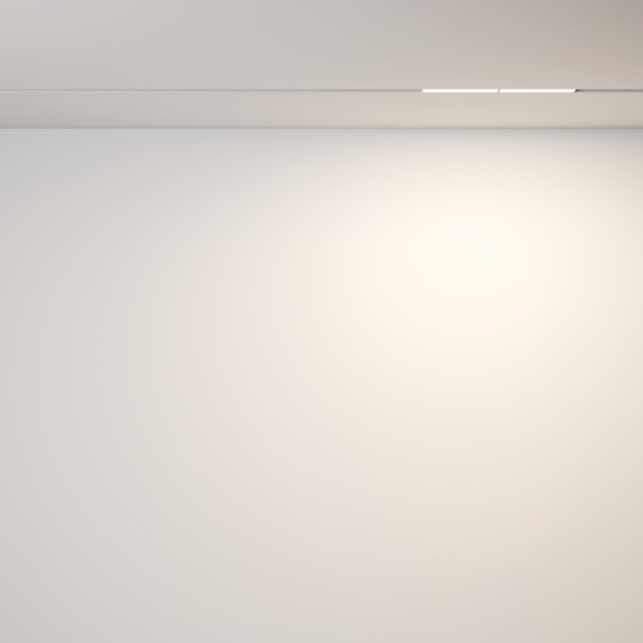 Магнитный трековый светильник Maytoni Technical Parete TR106-2-12W3K-W