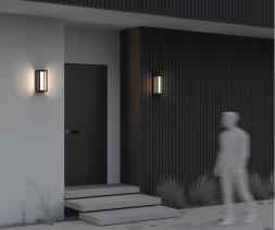 Уличный настенный светильник Maytoni O480WL-L12B3K Expo