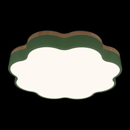 Потолочный светильник LOFT IT 10225/36 Green