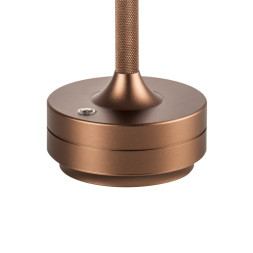 Настольная лампа Lightstar ALFA 745901