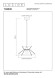 Подвесной светильник LUCIDE TASMAN 10420/32/72