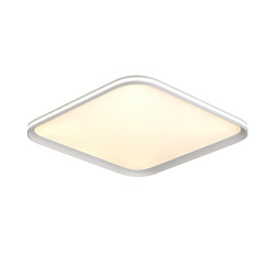 Потолочный светильник Sonex 7750/95L Beta