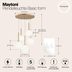Люстра на штанге Maytoni Basic form MOD321PL-05G1