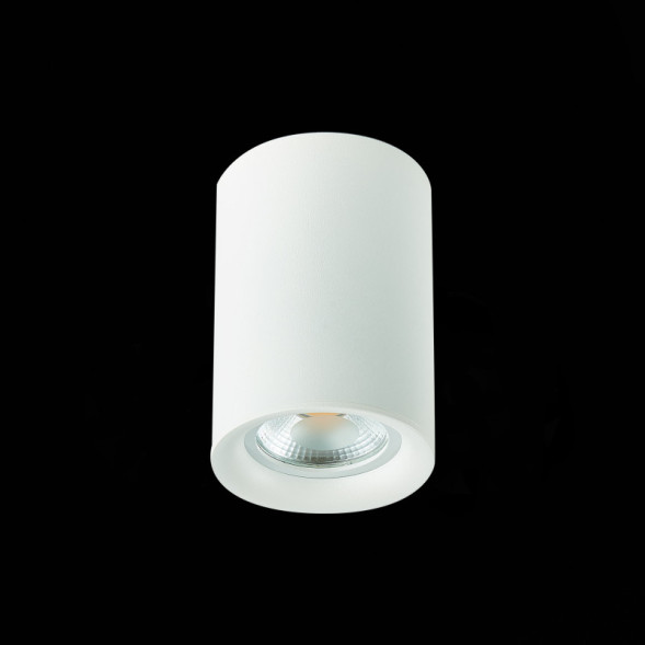 Накладной точечный светильник ST-Luce ST114 ST114.507.01