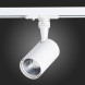 Светодиодный трековый светильник ST-Luce CAMI ST351.546.10.36