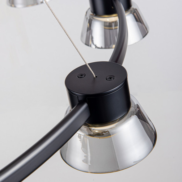 Подвесная люстра Favourite Twix 4247-9P