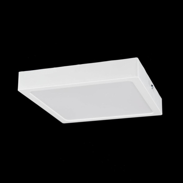 Потолочный светильник Citilux Галс CL55K22N