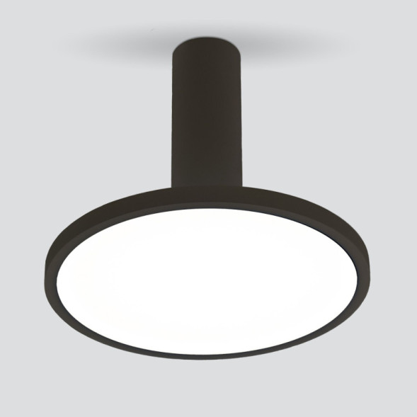 Накладной точечный светильник Elektrostandard DLS029 12W 4200K черный матовый