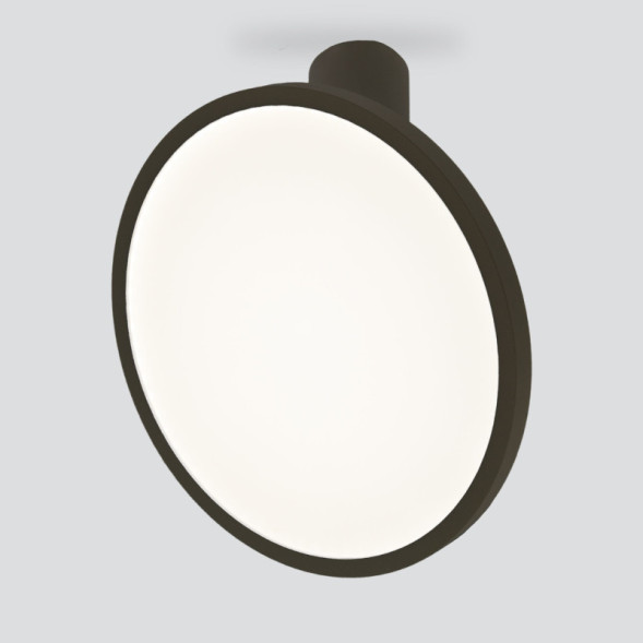 Накладной точечный светильник Elektrostandard DLS029 12W 4200K черный матовый