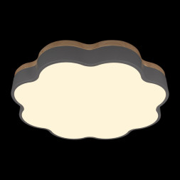 Потолочный светильник LOFT IT 10225/36 Grey