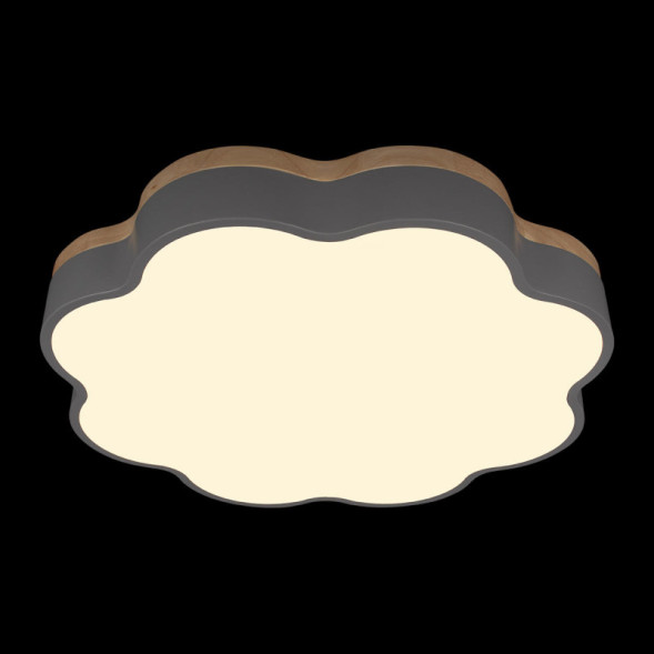 Потолочный светильник LOFT IT 10225/36 Grey