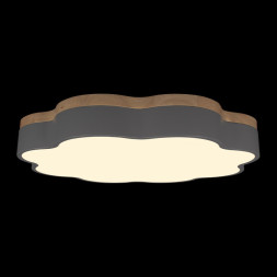 Потолочный светильник LOFT IT 10225/36 Grey