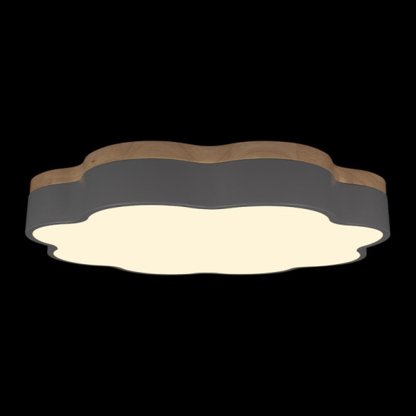 Потолочный светильник LOFT IT 10225/36 Grey