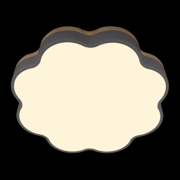 Потолочный светильник LOFT IT 10225/36 Grey