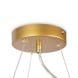 Подвесная люстра Maytoni DALLAS MOD545PL-11G