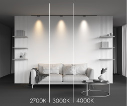 Магнитный трековый светильник Maytoni Technical Points TR193-1-5W3K-M-B