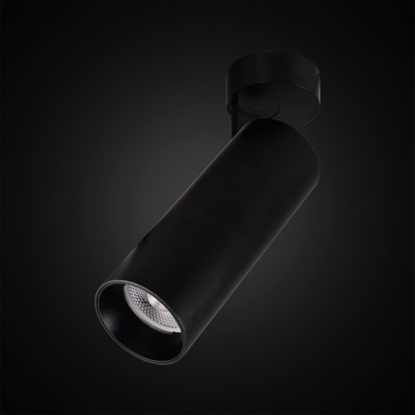 Накладной точечный светильник Citilux Тубус CL01B181