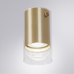 Накладной точечный светильник ARTE Lamp A5365PL-1SG Lazio