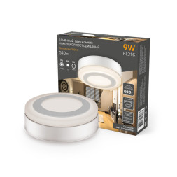 Накладной точечный светильник Gauss BL216