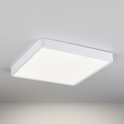 Потолочный светильник Elektrostandard DLS034 24W 4200K