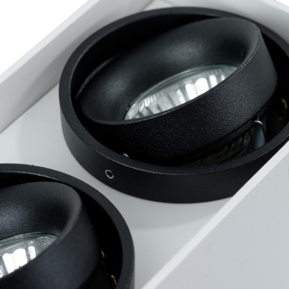 Накладной точечный светильник ARTE Lamp PICTOR A5655PL-2WH