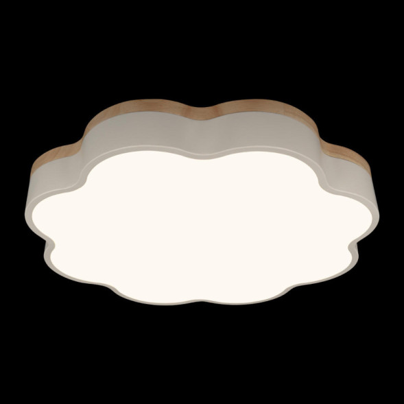 Потолочный светильник LOFT IT 10225/36 White