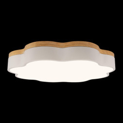 Потолочный светильник LOFT IT 10225/36 White