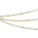 Лента Arlight RT-A144-10mm 2835 038781 38.5W 24V 1420lm белый (теплый) IP20
