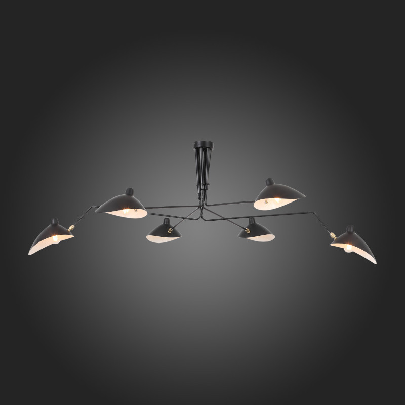 Потолочная люстра ST-Luce Spruzzo SL305.402.06