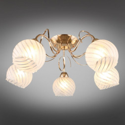 Потолочная люстра Omnilux Omnilux 249 OML-24907-05