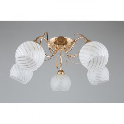 Потолочная люстра Omnilux Omnilux 249 OML-24907-05