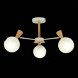 Люстра на штанге Evoluce CATANIA SLE220702-03