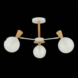 Люстра на штанге Evoluce CATANIA SLE220702-03