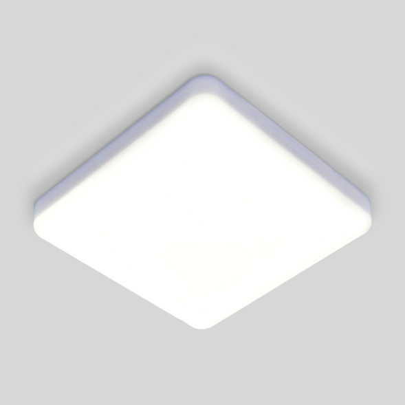 Потолочный светильник Elektrostandard DLS043 10W 4200K