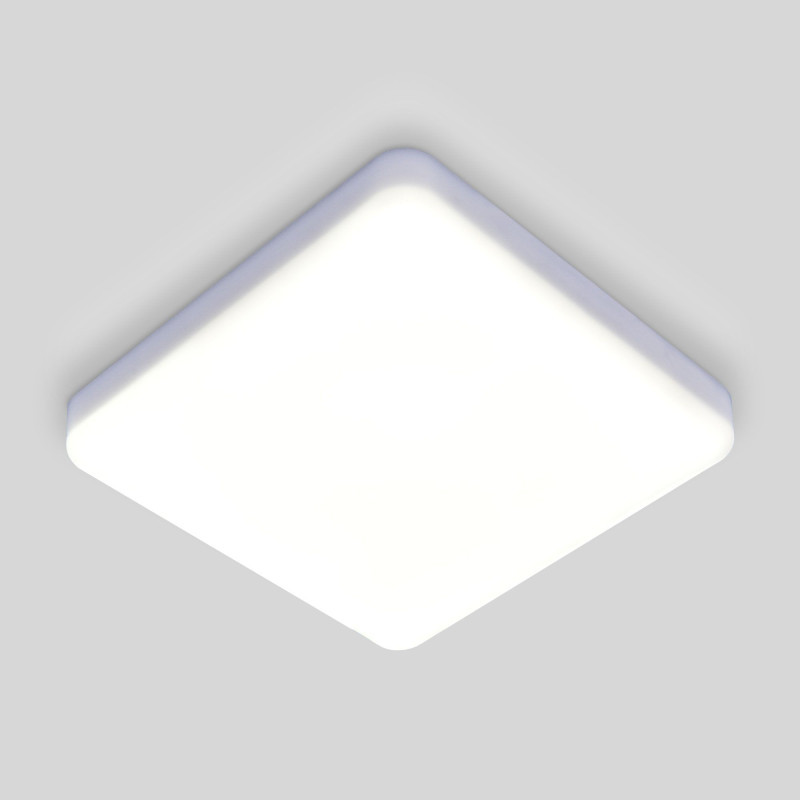 Потолочный светильник Elektrostandard DLS043 10W 4200K