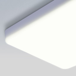 Потолочный светильник Elektrostandard DLS043 10W 4200K