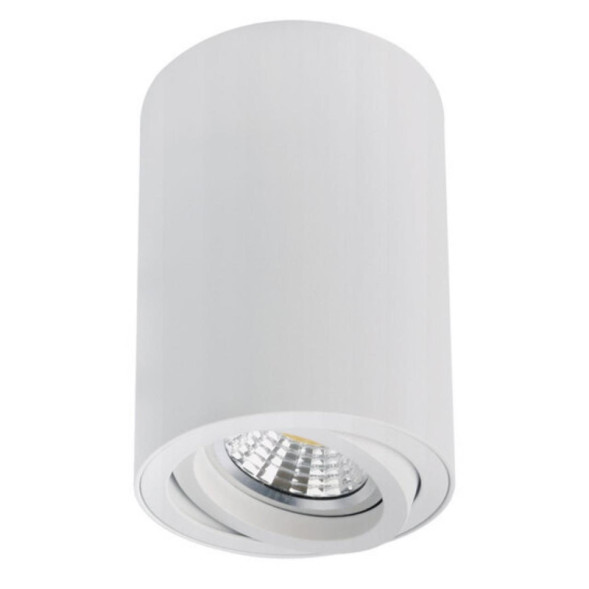 Накладной точечный светильник ARTE Lamp A1566PL-1WH SENTRY
