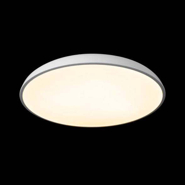 Накладной светильник LOFT IT 10371 White Dime