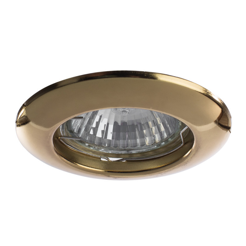 Встраиваемый точечный светильник ARTE Lamp PRAKTISCH A1203PL-1GO