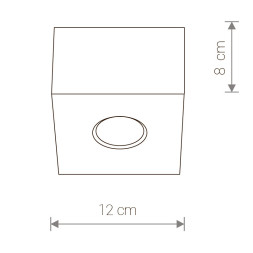 Накладной точечный светильник Nowodvorski CARSON 5573