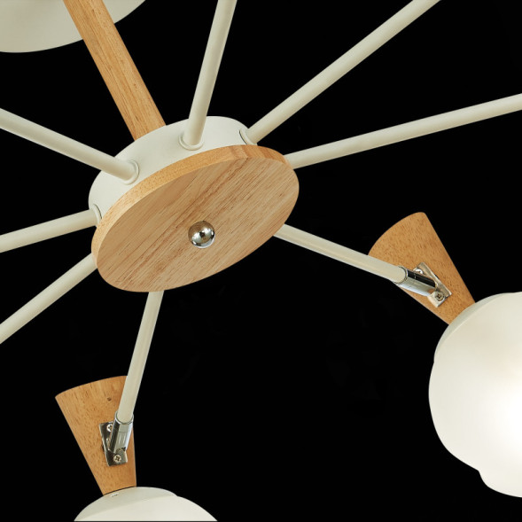 Люстра на штанге Evoluce CATANIA SLE220702-08