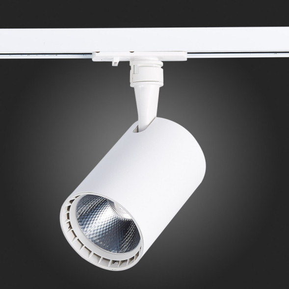 Светодиодный трековый светильник ST-Luce CAMI ST351.546.20.36