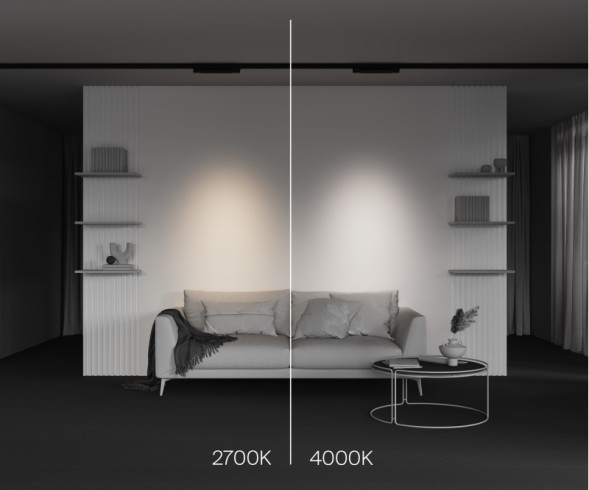 Светодиодный трековый светильник Maytoni Technical Points TR195-3-10W2.7K-M-B