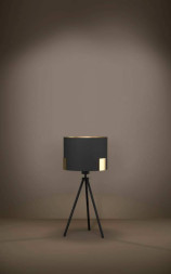 Настольная лампа EGLO TORTOLA 1 39965